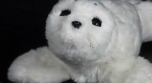 PARO Therapeutic Robot | Training