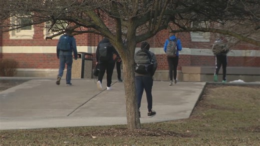 Illinois schools to implement annual mental health screenings starting in 2027