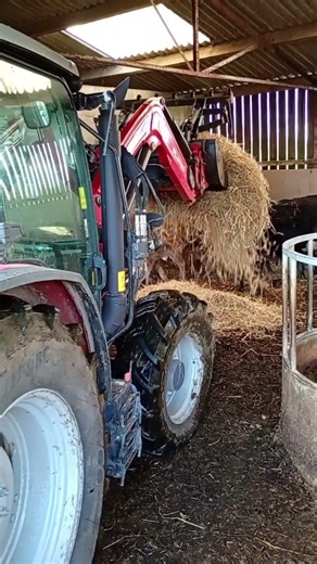 Let calving 2026 begin.