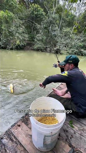 Fishing for piau (a type of freshwater fish) using a spinning method with soy.