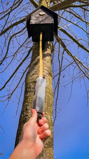 creativecache on Instagram: "Just a different variation of the classic birdhouse cache. Have you used your tools much while geocaching? My collection just got bigger and bigger every time I come across something new! #geocaching #geocache #creative #cache #geocacher #geocachingadventures #geocachingfun #nature #natur #birdhouse"