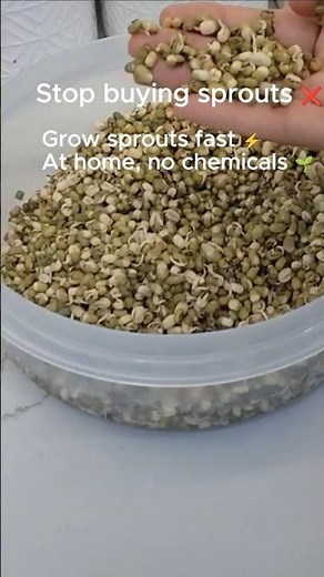 How to Make Sprouts at Home 🌱 | Easy Step-by-Step Moong Sprouting Method #viral #beans #vegan #food
