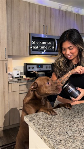 Something about these chews, she gets so excited about 😂 least it’s beneficial 🐾🦴 #dogmom #momoftiktok #dogvitamins #tiktokshop #dogmomlife