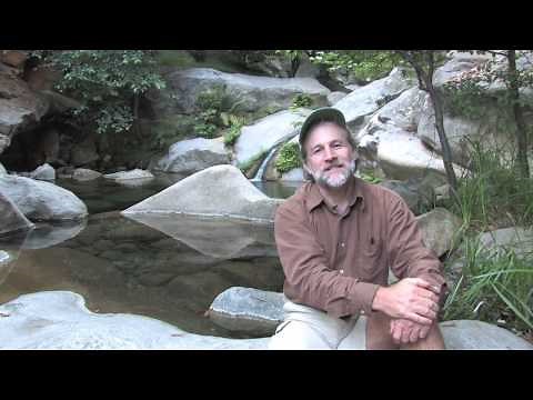 Laundry to Landscape Greywater System Installation