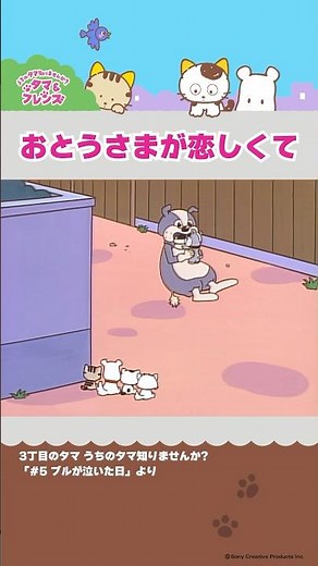 おとうさまが恋しくて【3丁目のタマ うちのタマ知りませんか？】 #shorts