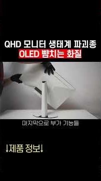 The QHD Monitor Game-Changer: OLED-Level Quality for Only 400,000 Won?