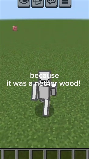 minecraft jokes 1 #minecraft #funny #memes