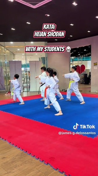 Heian Shodan Kata with Students: Karate Training Insights