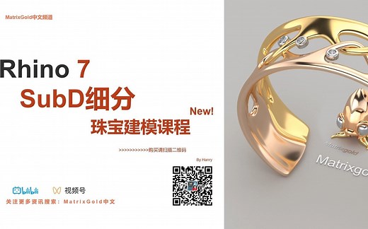 Rhino7 SubD细分珠宝建模课程、Matrixgold