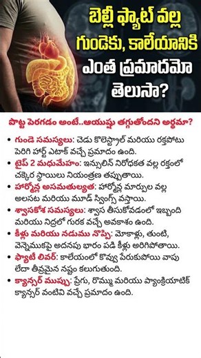 High Belly Fat Is Dangerous Than You Think - Affects Heart, Liver, Breathing, Diabetes, Back pain