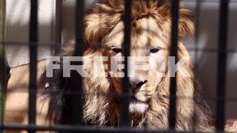 The best view in Yokohama | Premium Stock Video Footage