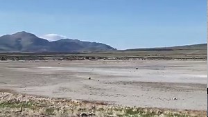 RARE WOLVERINE SIGHTING Our biologists feel confident that the footage showing an animal running on Antelope Island State Park is of a rare wolverine sighting. We received a report on the evening of May 4 of a wolverine that had been spotted earlier that day on the northwest end of Antelope Island near the Bridger Bay Campground. Photos and video were posted to Facebook, and our biologists confirmed that the footage looks like a wolverine. Biologists went to Antelope Island this morning to try t