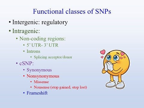 Bioinf Class 20C, SNP variation class and functional classes!