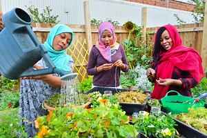 Community gardening / RHS