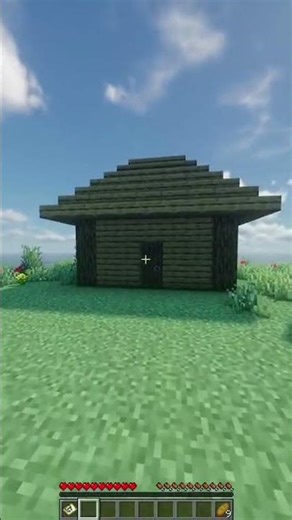 I found the island #minecraft #shorts