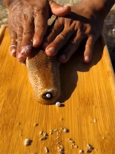 Urgent Relief for Severe Toothache