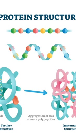 Biomolecules chemistry real life images