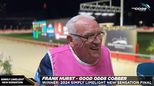 9.3K views · 175 reactions | "There's plenty of big races ahead of him" Good Odds Cobber won the Simply Limelight New Sensation Final at #WentyPark tonight and we spoke to Frank Hurst not long ago. #thedogs #greyhoundracing #greyhounds | The Dogs | Facebook