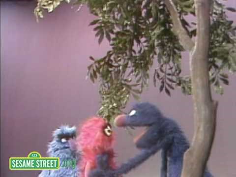 Sesame Street: Grover And Herry Explain Here & There