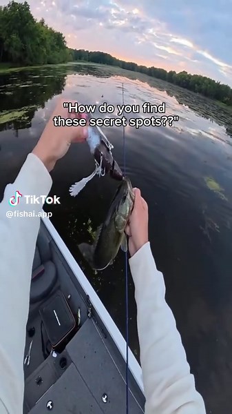 All in the fish map🔥 #fishai #fishinglife #fishing fish #angler #anglerlife