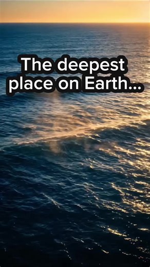 The mysterious creatures of the Mariana Trench 🌊 The deepest place on Earth still hides strange life. #paranormalhorror #mystery #ocean #creepy #ShadowScript