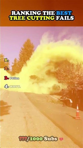 Ranking the Best Tree Cutting Fails 😭 #ranking #funny