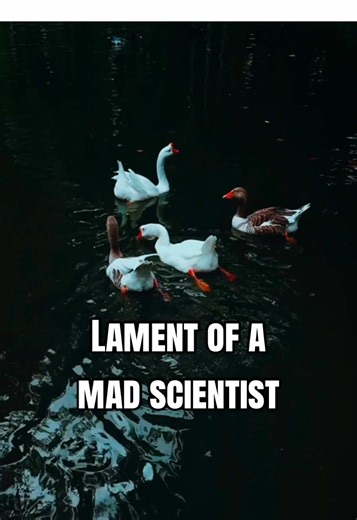 Gothic science-fiction meets dark academia in Astronomer’s Creed🪐🫧✨🔭