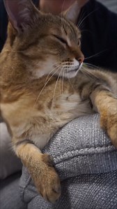 Watch Mury at the end 😃 | Samy & Mury