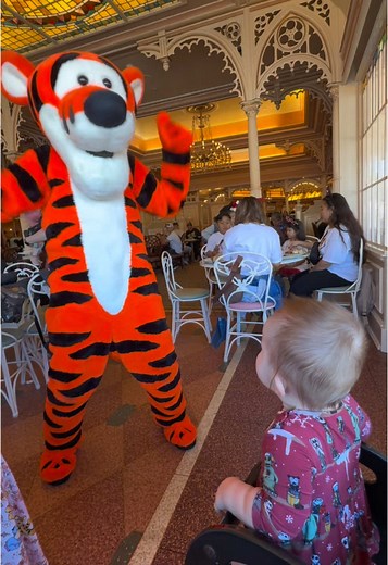 So happy meeting Tigger 🩷 #disneyland #tigger