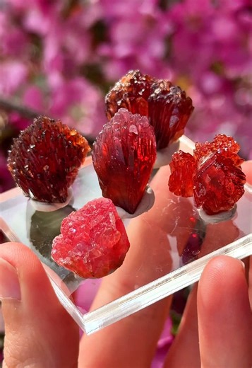 Rare Cherry Red Rhodochrosite from N'Chwaning Mine