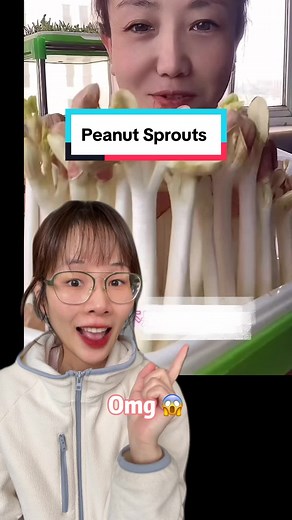Have you ever tried peanut sprouts? 🥜🌱 #food #plants #peanut #asianfood #vegan #healthyfood