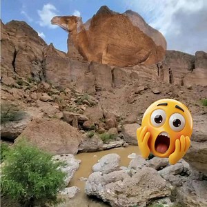 Mountain rock camel formation markings #fbreels #reels #virals #treasure #everyone #explore | Jm D Compass