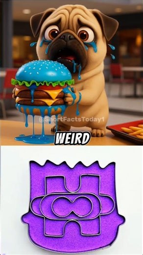 i hate blue burger! 🤮🐶😿🍔#dogs #pug #cats #kitten #funny #pugs