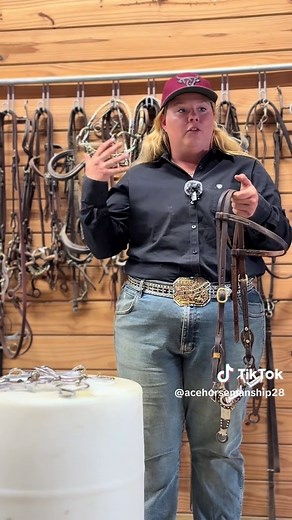 Understanding Snaffle Bits in Horse Training