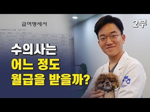 수의대 졸업 후 동물병원 수의사의 월급과 연봉