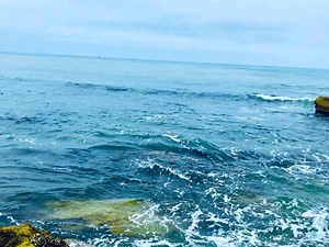 Michael Tierney: The City of My Dream