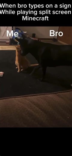 Minecraft split screen meme #memes #minecraft #splitscreen #minecraftsplitscreen #jokes #67