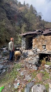 39K views · 788 reactions | Bakri Ka Pappa Deepak | Roasting Live | Facebook