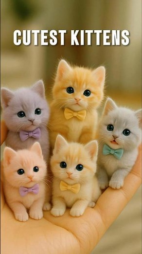 The Cutest Teacup Kittens 🐾✨