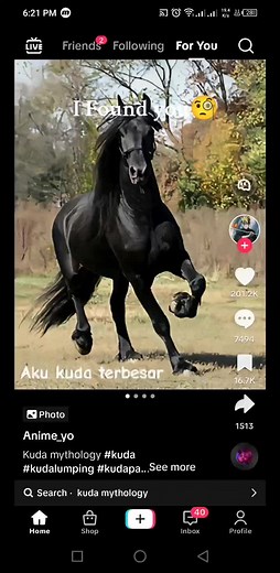 Exploding Horse and Pegasus Found Dead - Shocking Discovery