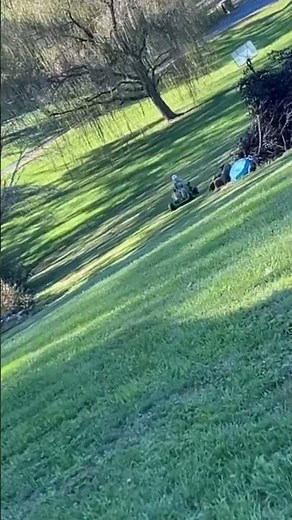 Shopping buggy go kart