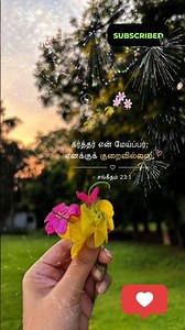 Bible promises ✝️🙏Christian#song#தமிழ் 🙏💫shorts #🙏❤️💕💫
