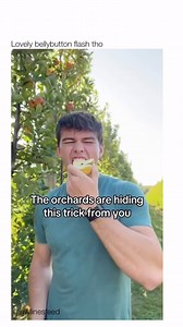 2.1K views · 3.1K reactions | An orchard is a piece of land dedicated...