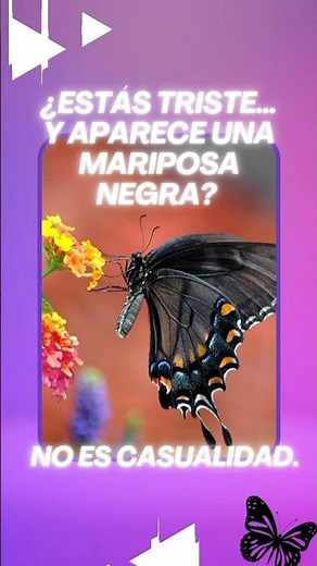 Are you sad... and a black butterfly appears? It's no coincidence. #blackbutterfly #spiritualmeaning