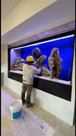 Timelapse Magic You’ll Love ✨