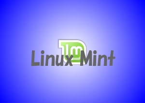 初心者におすすめ！コピペ（コピー＆ペースト）でできる自宅サーバーLinux Mint20（Linux）の構築方法。