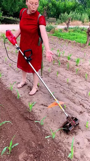 Electric Weed Remover: Efficient Gardening Solution