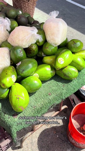 How to Tell the Difference Between Two Types of Avocados