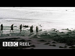 Was this humanity's biggest mistake? - BBC REEL