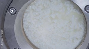 Soft Cheese Is Processed At Technologically Advanced Dairy Product Factory. Automated Soft Cheese Production Technology. Soft Cheese Processing In Tank Using Modern Technology. Dairy Manufacturing